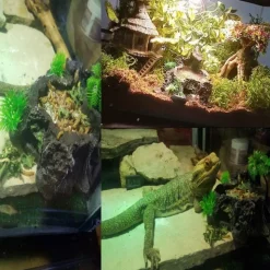 DOWNYPAWS - Décoration d'aquarium pour reptiles