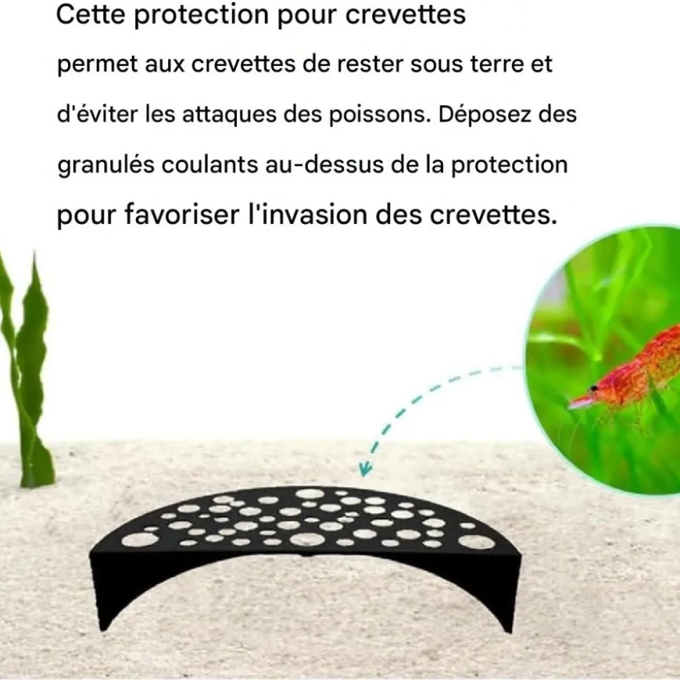 DOWNYPAWS - Décoration d'aquarium-grotte aux crevettes-- noires