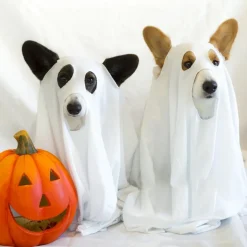 DOWNYPAWS - Déguisement de chien fantôme d'halloween - blanc - 125*72cm - taille grande
