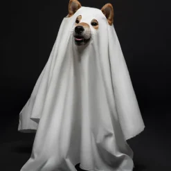 DOWNYPAWS - Déguisement de chien fantôme d'halloween - blanc - 125*72cm - taille grande