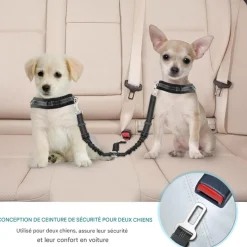 DOWNYPAWS - Double 2 chiensceintures de sécurité