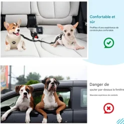 DOWNYPAWS - Double 2 chiensceintures de sécurité