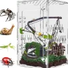 DOWNYPAWS - Enclos en acrylique pour araignées sauteuses et terrarium ventilé adapté à tous les reptiles