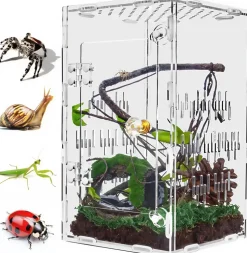 DOWNYPAWS - Enclos en acrylique pour araignées sauteuses et terrarium ventilé adapté à tous les reptiles