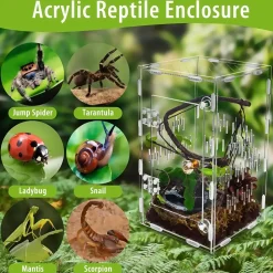 DOWNYPAWS - Enclos en acrylique pour araignées sauteuses et terrarium ventilé adapté à tous les reptiles
