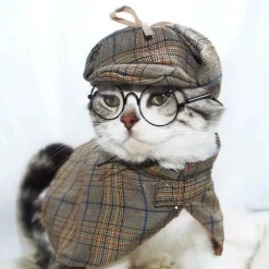 DOWNYPAWS - Ensemble de costumes de détective pour animaux de compagnie