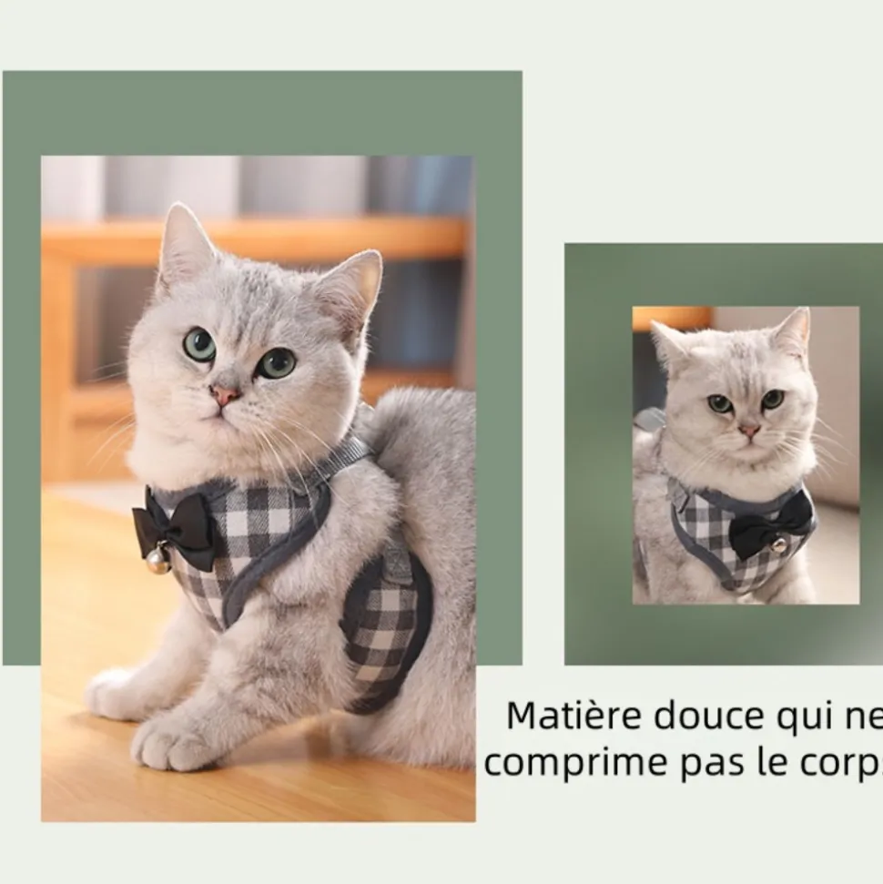 DOWNYPAWS - Ensemble de laisse pour chat xs