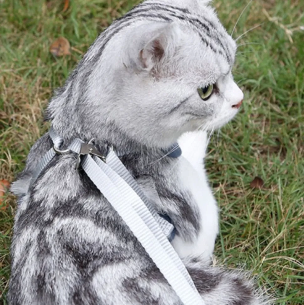 DOWNYPAWS - Ensemble de laisse pour chat xs