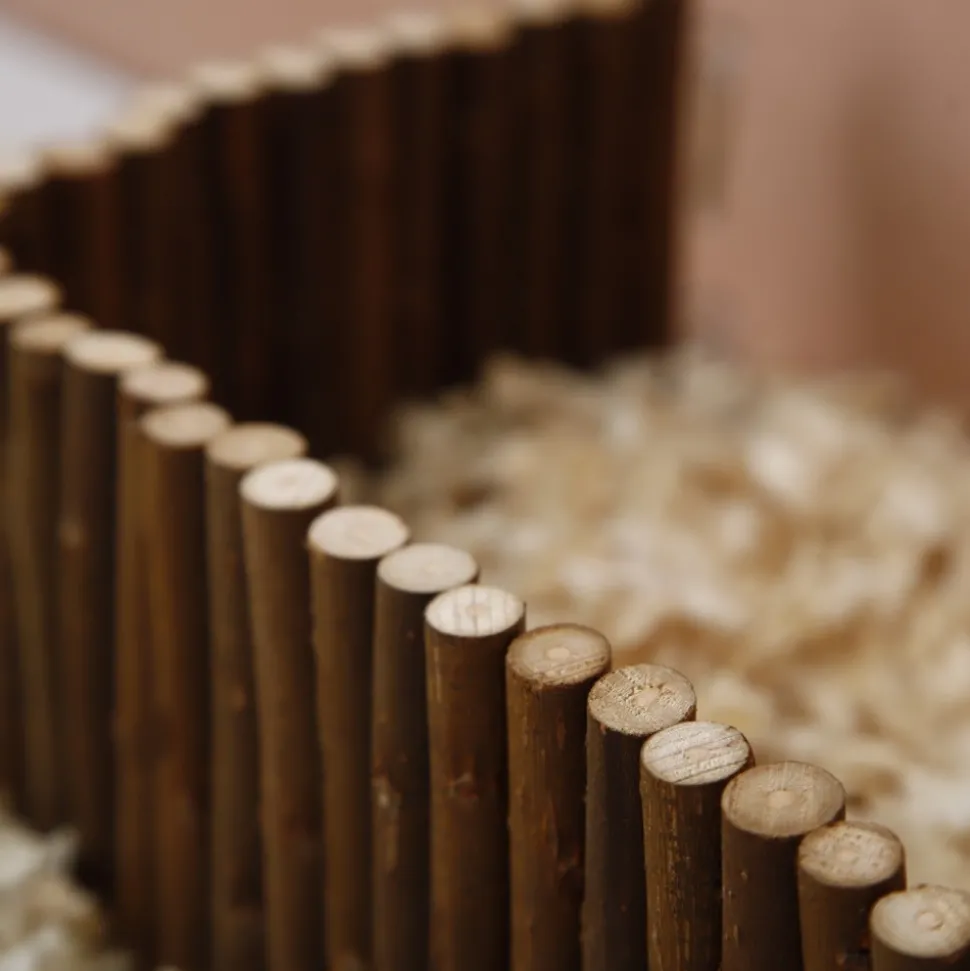 DOWNYPAWS - Escalier de grimpe pour hamster 50*7cm