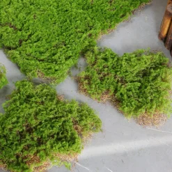 DOWNYPAWS - Feuille de mousse artificielle en peluche 20×20 cm*2 pièces