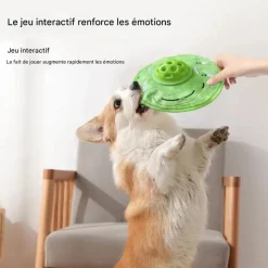 DOWNYPAWS - Frisbees pour chiens grincer-jouets interactifs-diamètre 22cm