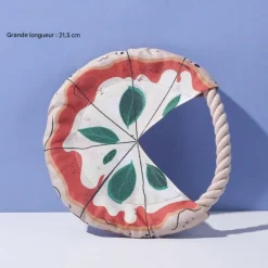 DOWNYPAWS - Frisbees pour chiens