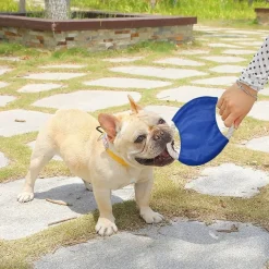 DOWNYPAWS - Frisbees pour chiens