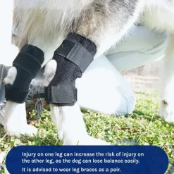 DOWNYPAWS - Gaine de protection pour pattes de chien après opération, support pour genoux taille l