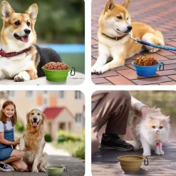 DOWNYPAWS - Gamelle pliable pour chien 2 pièces