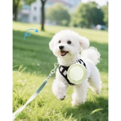 DOWNYPAWS - Gamelle pliable pour chien 2 pièces