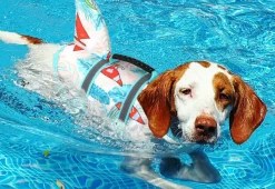 DOWNYPAWS - Gilet de sauvetage réglable pour chien avec flotteur au menton et poignée de sauvetage