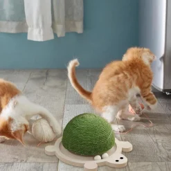 DOWNYPAWS - Griffoir pour chat en forme de tortue-balle jouet pour chat-29*24*14cm