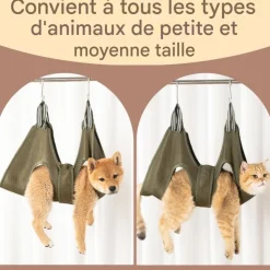 DOWNYPAWS - Hamac pour chat-toilettage pour animaux de compagnie-vert olive-empêcher l'évasion
