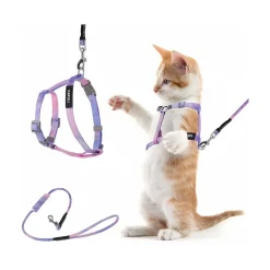 DOWNYPAWS - Harnachement et laisse pour chat s