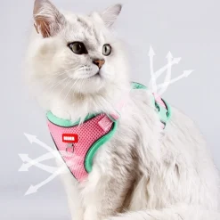 DOWNYPAWS - Harnais avec laisse pour chat s