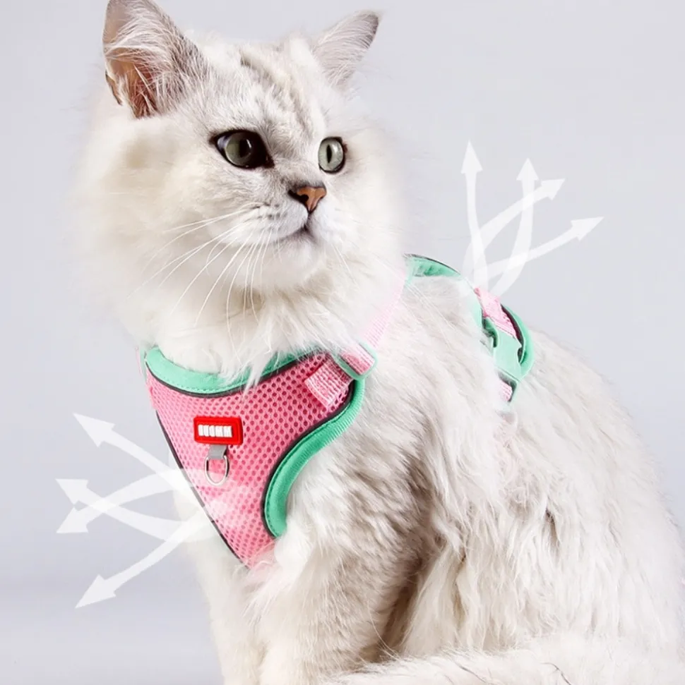 DOWNYPAWS - Harnais avec laisse pour chat s