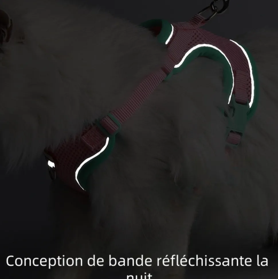 DOWNYPAWS - Harnais avec laisse pour chat s