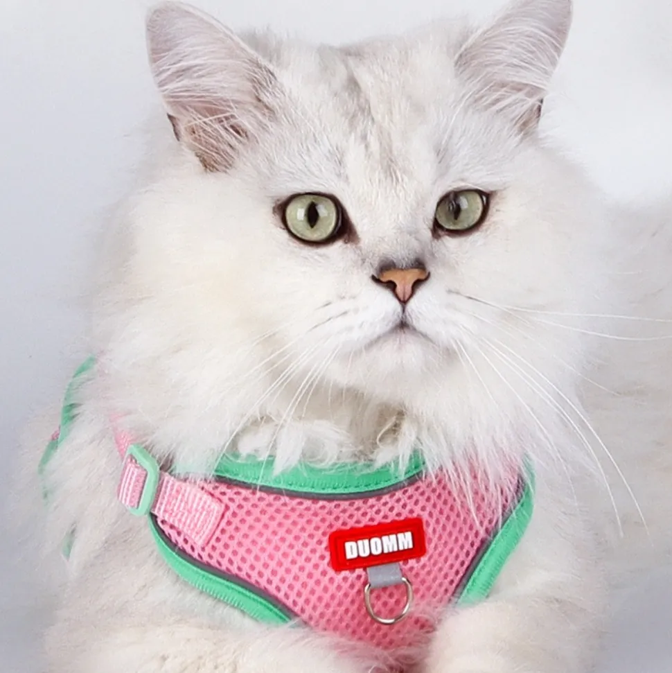 DOWNYPAWS - Harnais avec laisse pour chat s