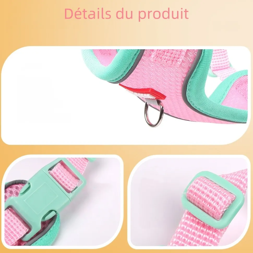 DOWNYPAWS - Harnais avec laisse pour chat s