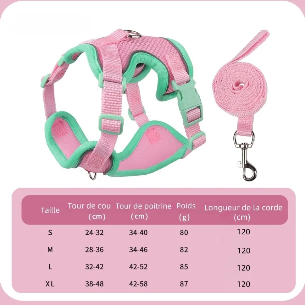 DOWNYPAWS - Harnais avec laisse pour chat s