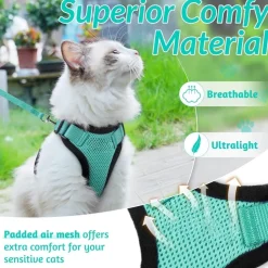 DOWNYPAWS - Harnais et laisse réfléchissants pour chat xs