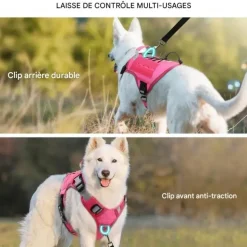 DOWNYPAWS - Harnais pour chien-anneau en d avec poignée- taille l