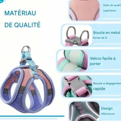 DOWNYPAWS - Harnais pour chat avec laisse et doublure réfléchissante s