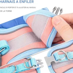 DOWNYPAWS - Harnais pour chat avec laisse et doublure réfléchissante s