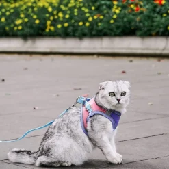 DOWNYPAWS - Harnais pour chat avec laisse et doublure réfléchissante s