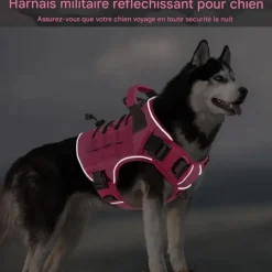 DOWNYPAWS - Harnais pour chien-anneau en d avec poignée- taille s