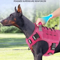 DOWNYPAWS - Harnais pour chien-anneau en d avec poignée- taille s