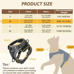 DOWNYPAWS - Harnais réfléchissant réglable pour chat - avec laisse xl