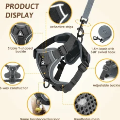 DOWNYPAWS - Harnais réfléchissant réglable pour chat - avec laisse xl