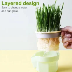 DOWNYPAWS - Herbe à chat hydroponique sans sol - pour combattre les boules de poils snack pour chat