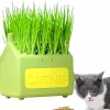 DOWNYPAWS - Herbe à chat pour herbe de chat hydroponique friandises pour chats