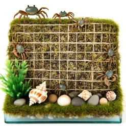 DOWNYPAWS - Jeu d'escalade pour hermit crab et escargot 2 pièces