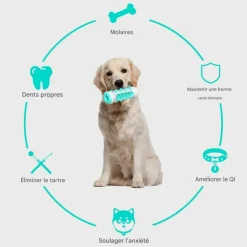 DOWNYPAWS - Jouet à mâcherbrosse pour chien