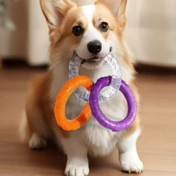 DOWNYPAWS - Jouet dentaire smile pour chien - taille small d.9 cm