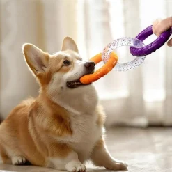 DOWNYPAWS - Jouet dentaire smile pour chien - taille small d.9 cm