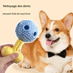 DOWNYPAWS - Jouet distributeur friandises chien silicone indestructible