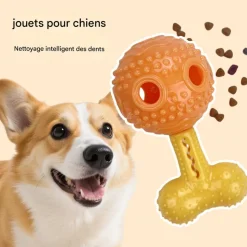 DOWNYPAWS - Jouet distributeur friandises chien silicone indestructible