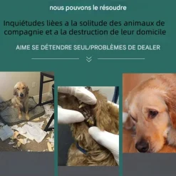 DOWNYPAWS - Jouet en peluche pour chiens en forme d'os-jouet à mâcher marron