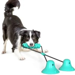 DOWNYPAWS - Jouet interactif à mâcher pour chien: balle de broyage des dents avec ventouse, nettoyage des dents