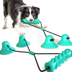 DOWNYPAWS - Jouet interactif à mâcher pour chien: balle de broyage des dents avec ventouse, nettoyage des dents